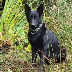 Meet your Posher, Shawna